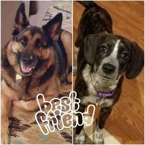 Meet your Posher, Pam